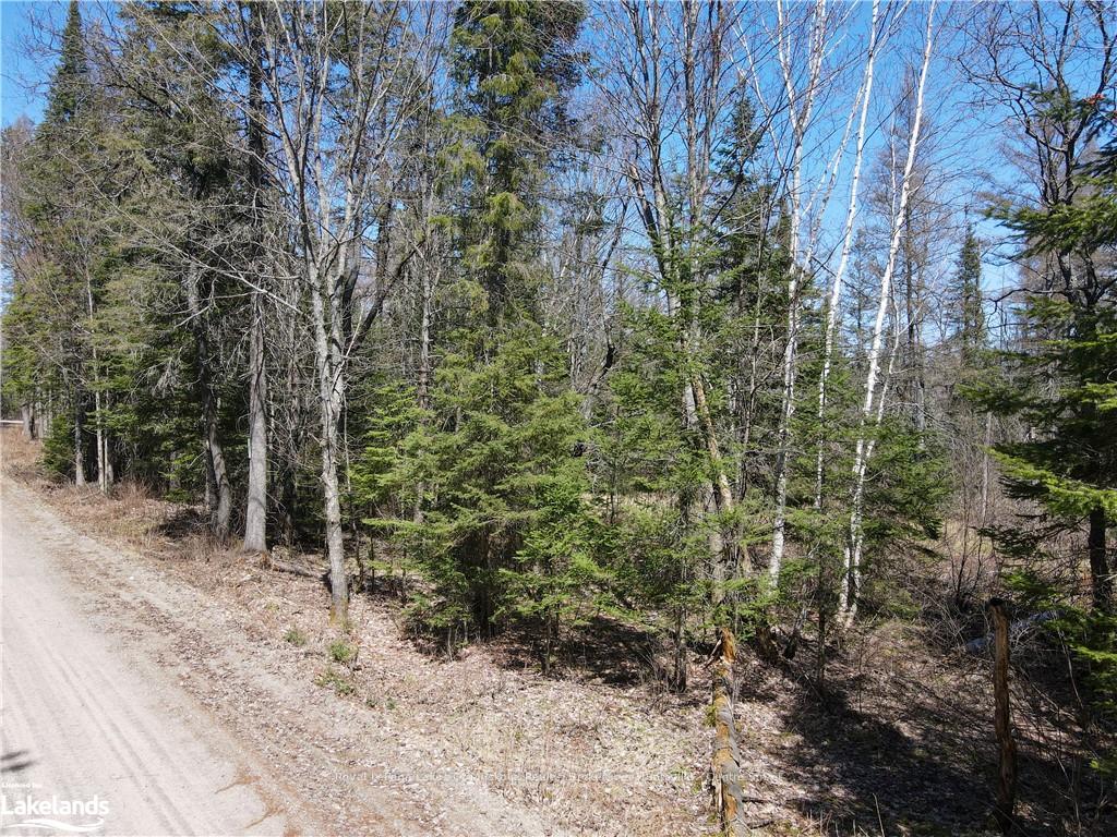 Photo 22 of Hwy 518 W, McMurrich/Monteith, Bear Lake — HOMEH