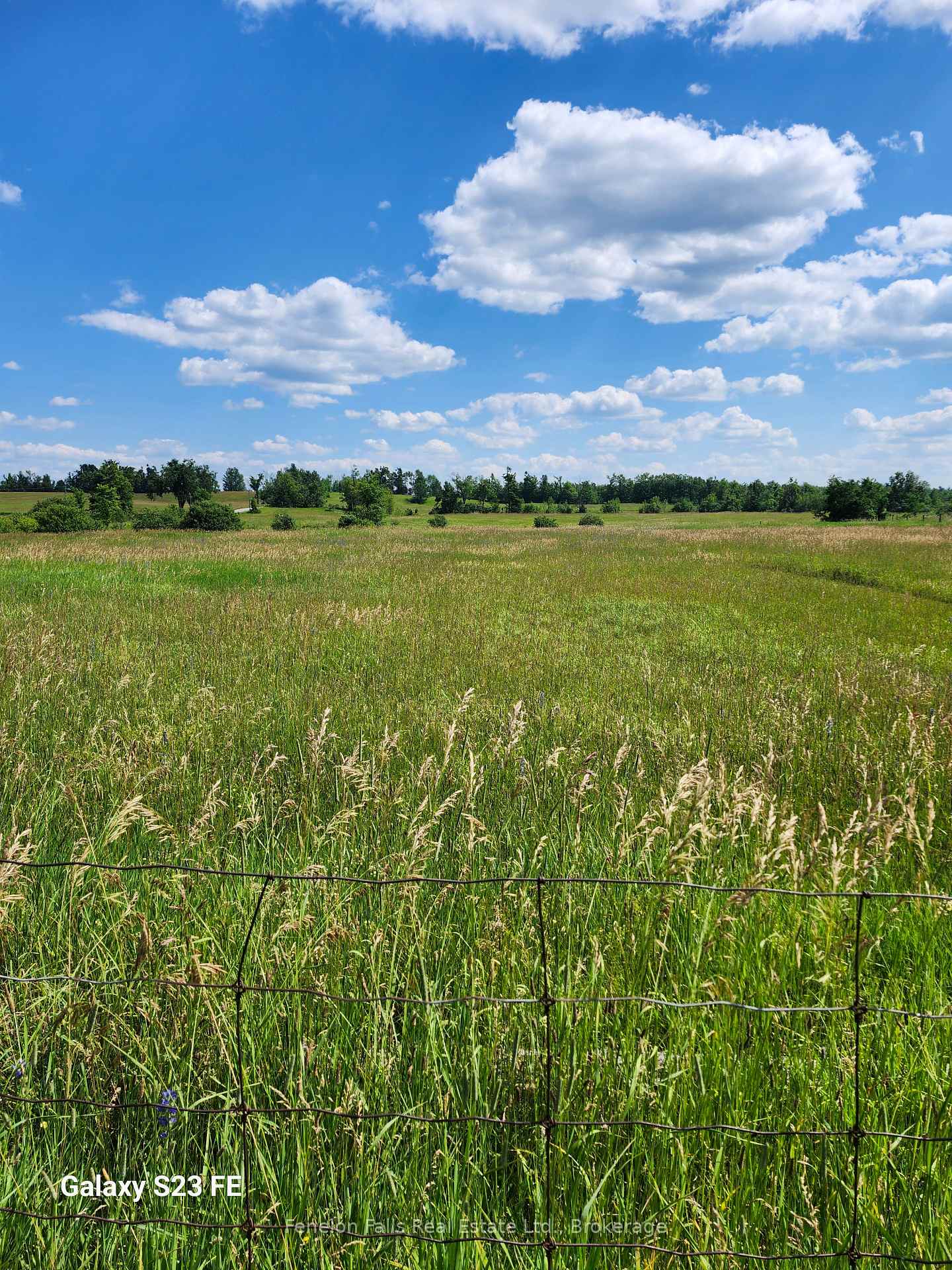 Photo 31 of 705 Bulmers Road, Kawartha Lakes, Somerville — HOMEH