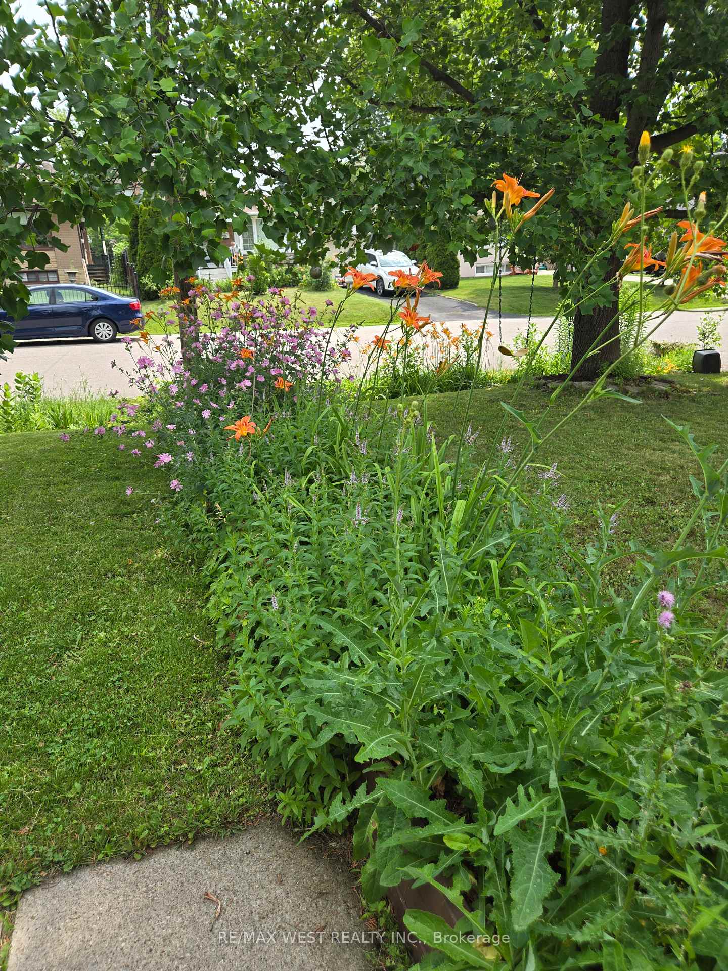 Photo 11 of 26 Nipissing Drive, Etobicoke, Islington-City Centre West — HOMEH