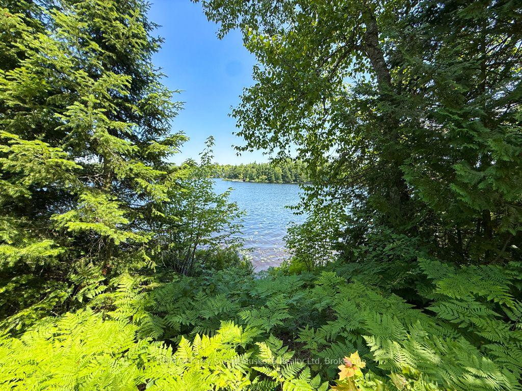 Photo 16 of 473 North Meadowcove Road, Whitestone, Dunchurch — HOMEH