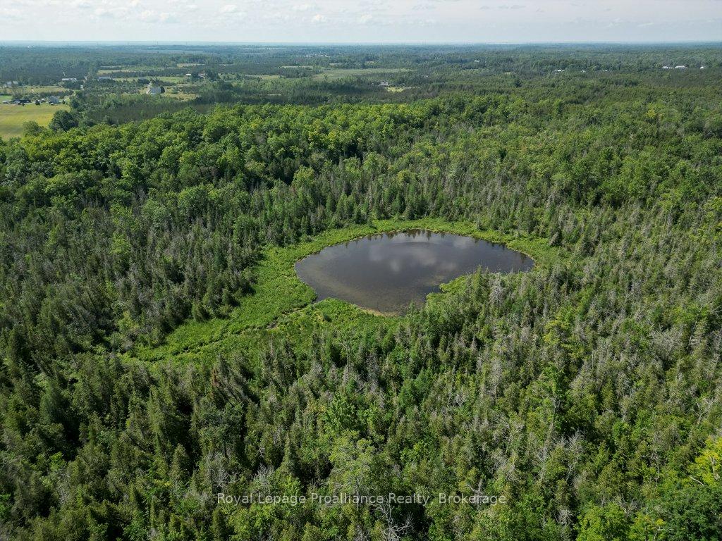 Photo 48 of 1075 Enright Road, Tyendinaga, Tyendinaga Township — HOMEH
