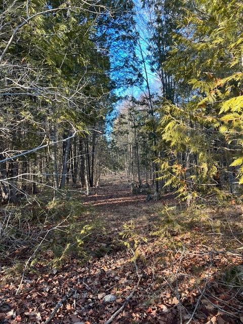 Photo 52 of 1075 Enright Road, Tyendinaga, Tyendinaga Township — HOMEH