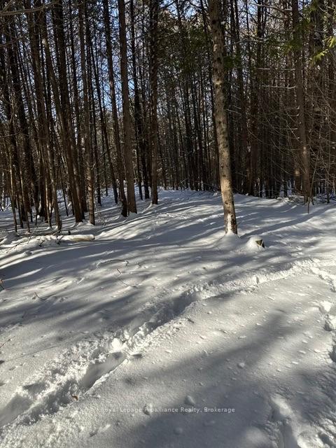 Photo 55 of 1075 Enright Road, Tyendinaga, Tyendinaga Township — HOMEH