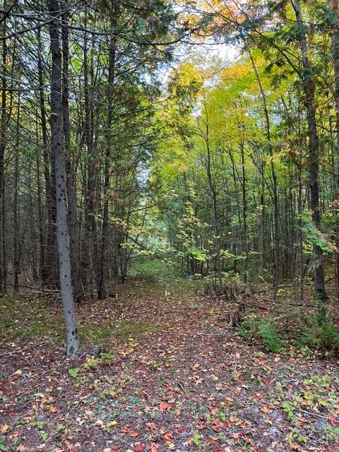 Photo 57 of 1075 Enright Road, Tyendinaga, Tyendinaga Township — HOMEH
