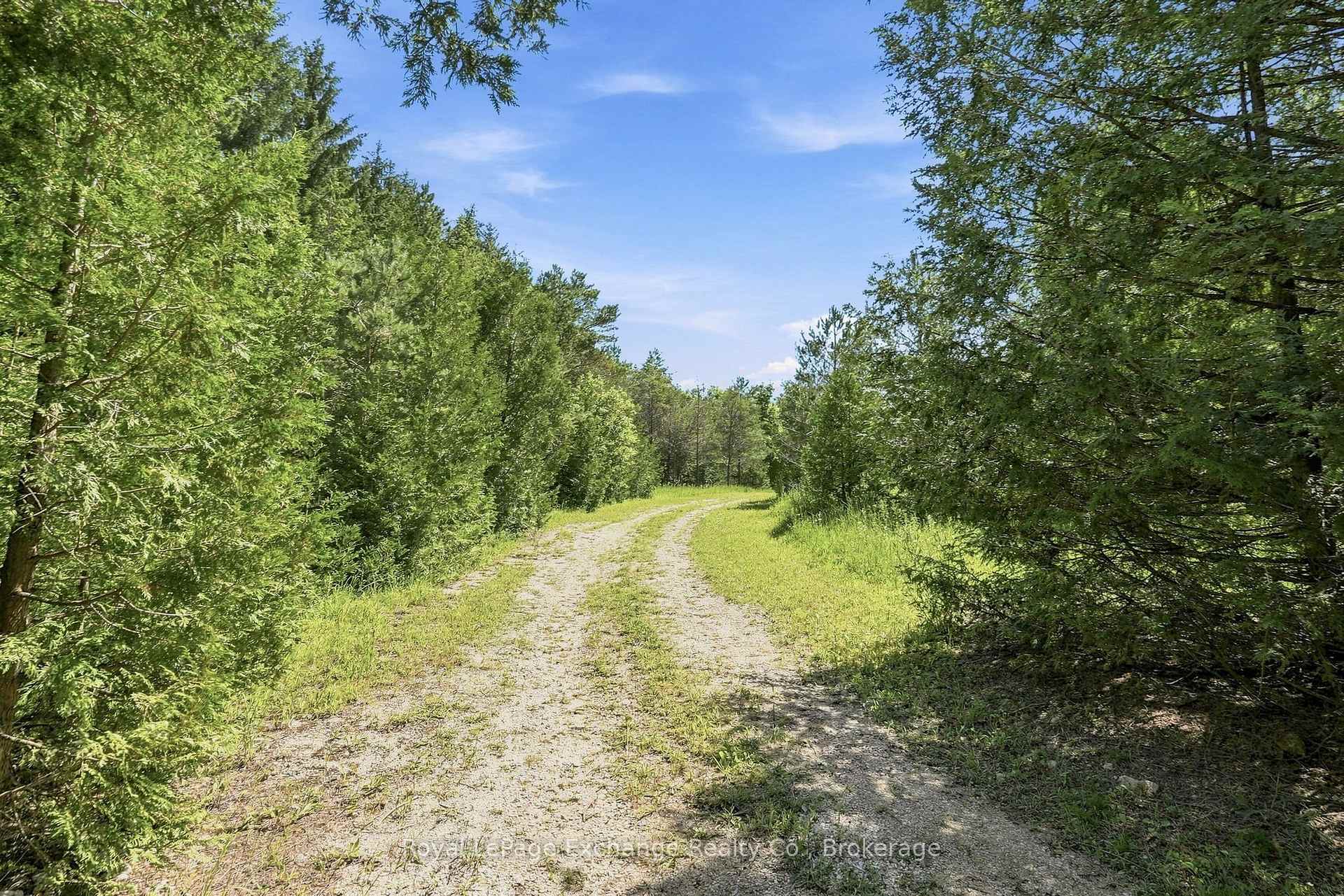 Photo 8 of 495144 Traverston Road, West Grey — HOMEH