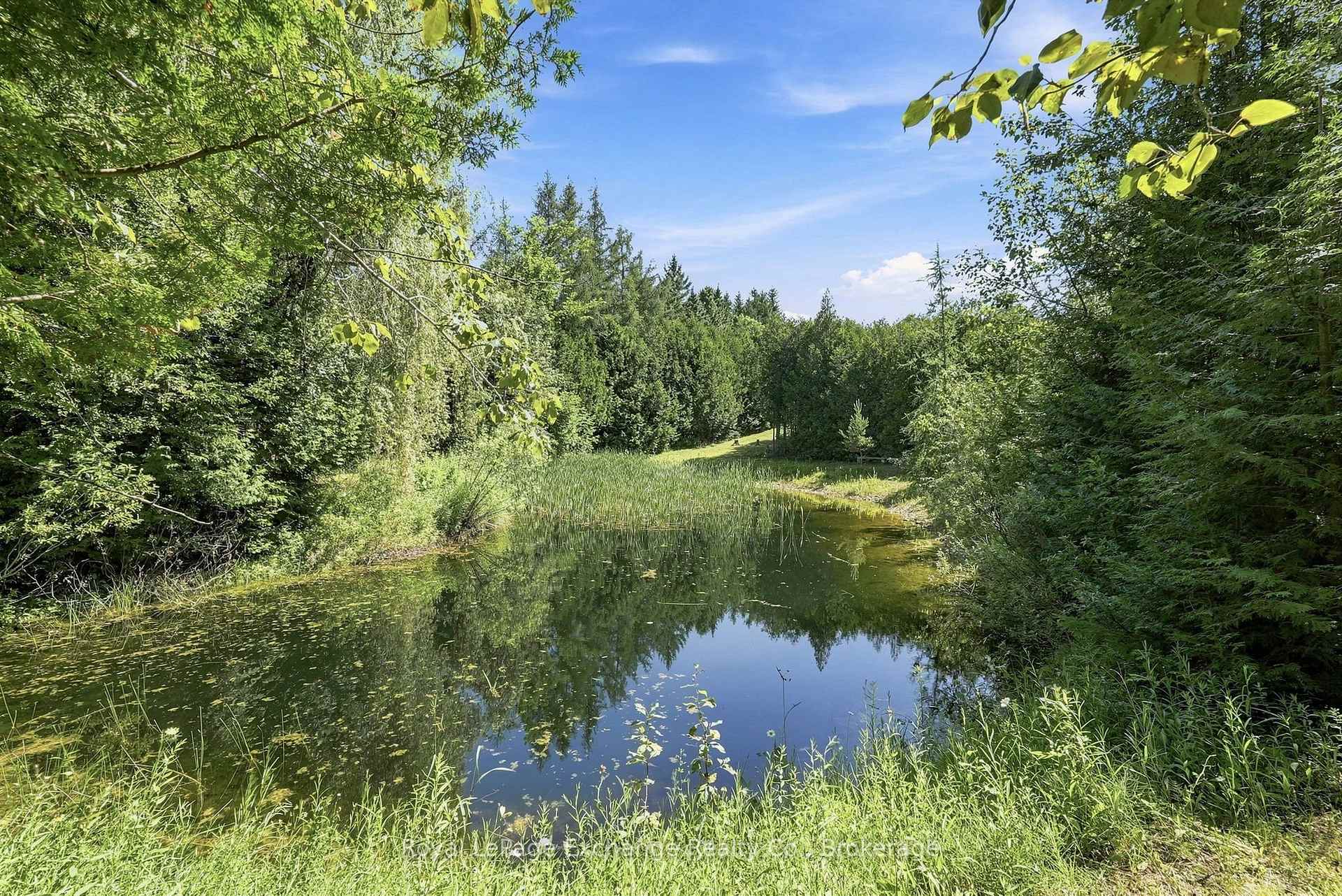 Photo 31 of 495144 Traverston Road, West Grey — HOMEH