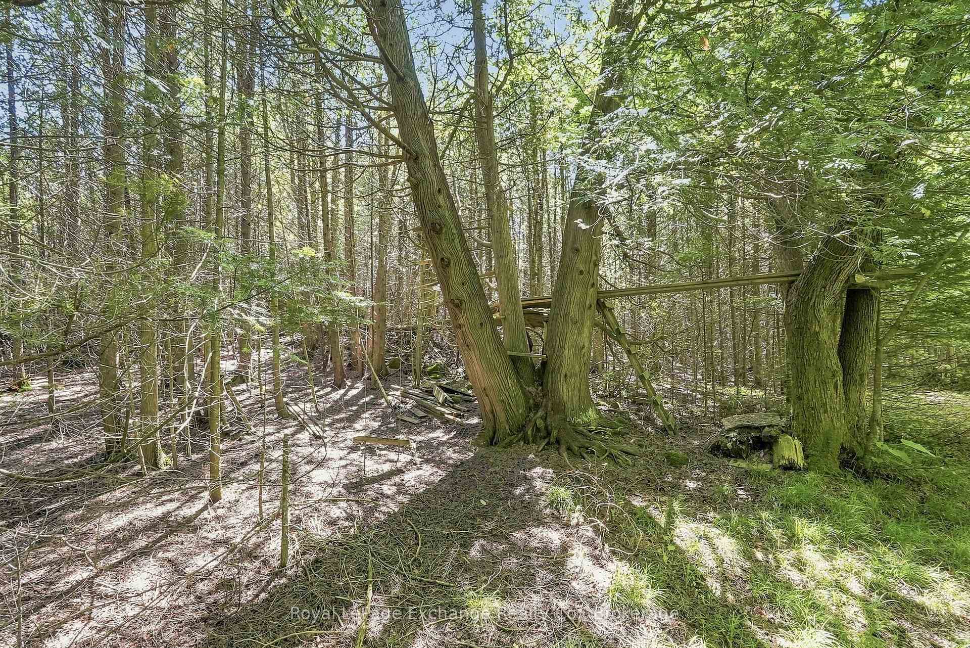 Photo 33 of 495144 Traverston Road, West Grey — HOMEH