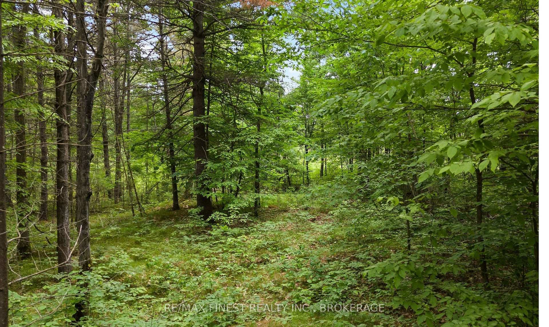 Photo of Lot 16 Echo Lake Road