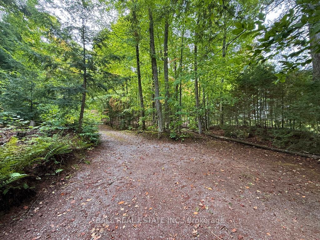 Photo 13 of 551 Renwick Road, North Kawartha — HOMEH