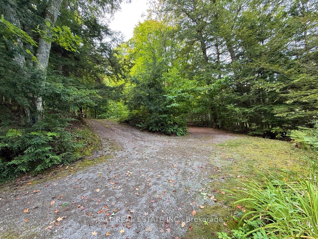 Photo 42 of 551 Renwick Road, North Kawartha — HOMEH