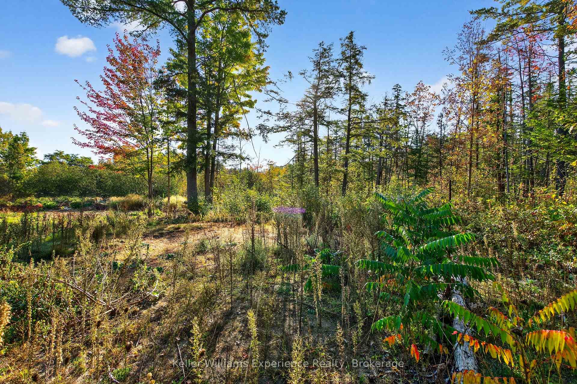 Photo 32 of 556 Champlain Road, Tiny, Rural Tiny — HOMEH