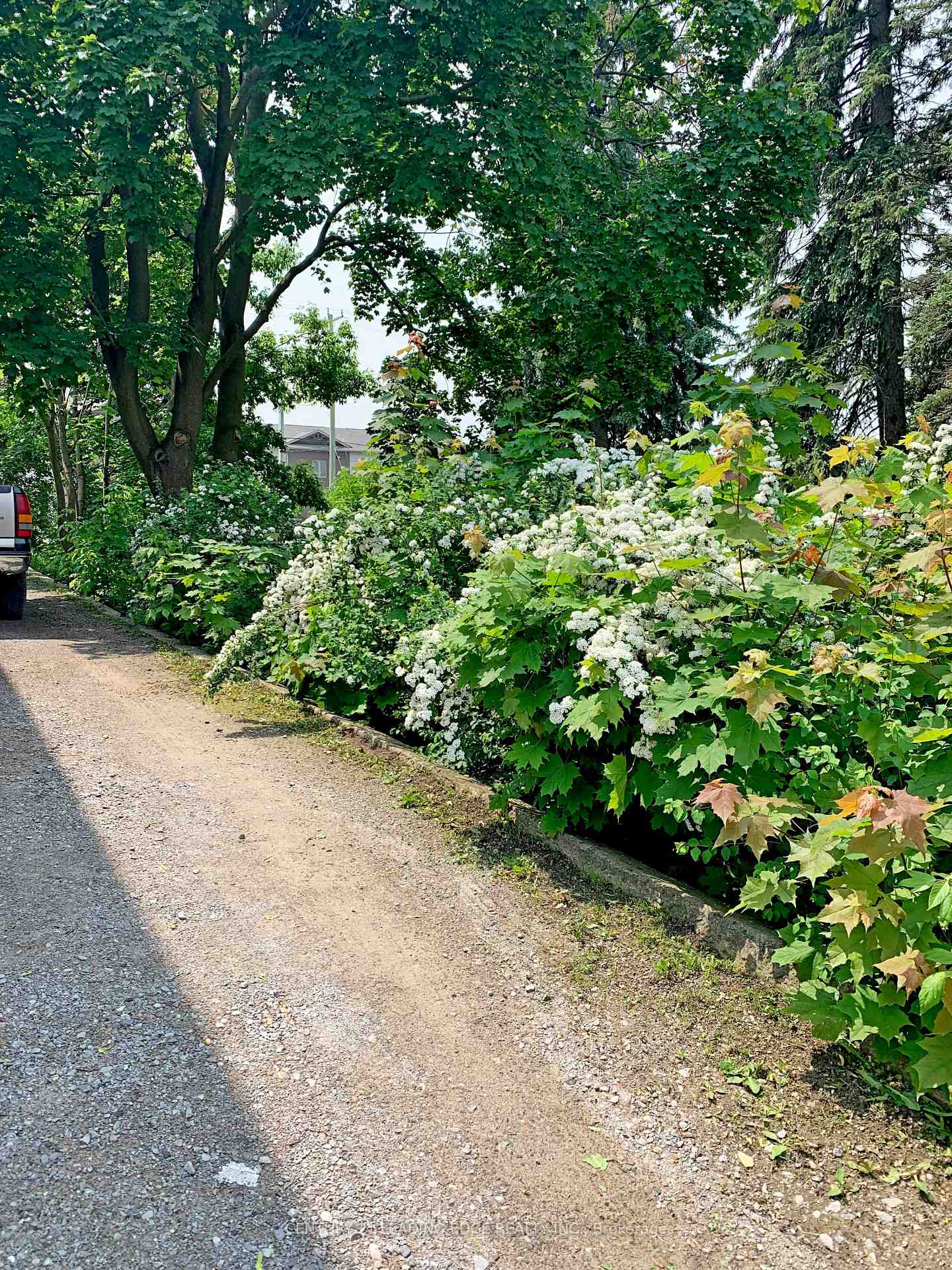 Photo 15 of 23 Queen Street, Kawartha Lakes, Lindsay — HOMEH