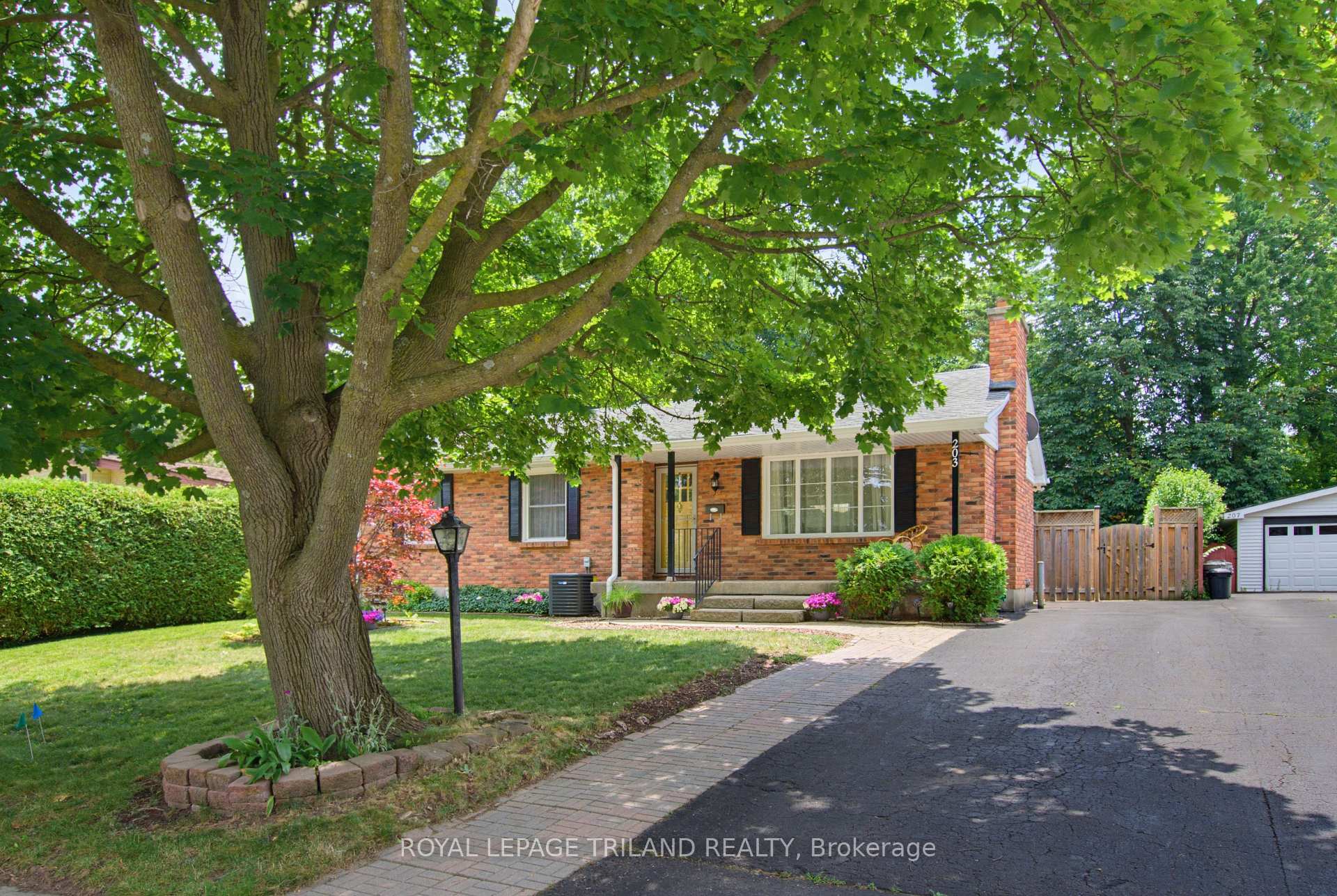 Front of 203 Tavistock Road