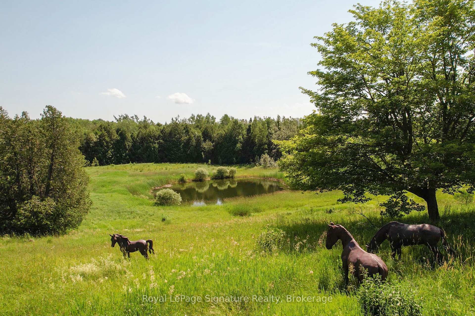 Photo 45 of 469319 Grey Rd 31, Grey Highlands — HOMEH