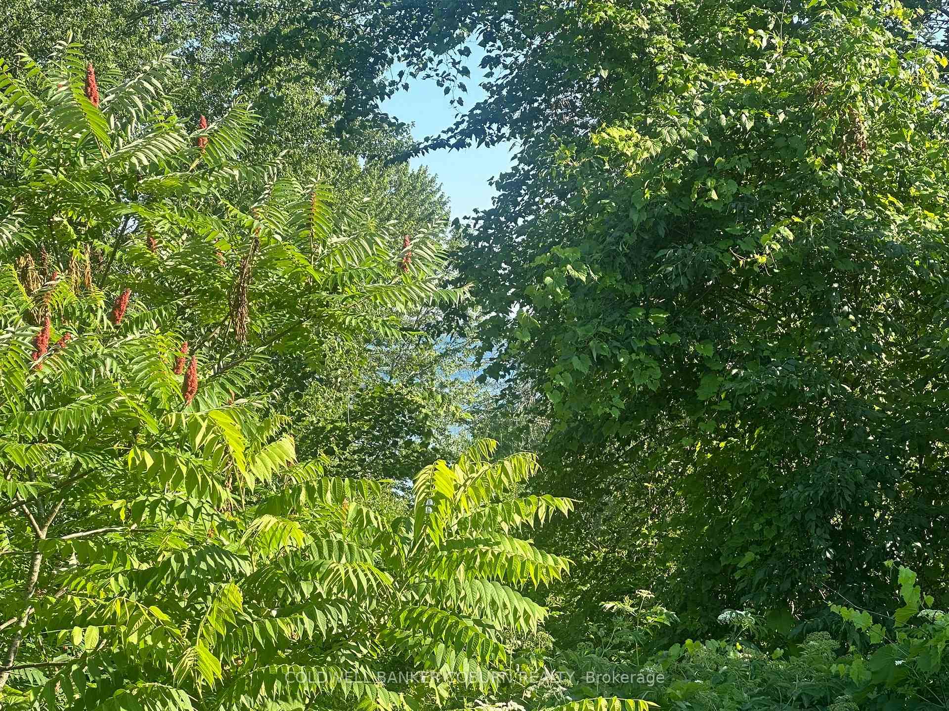 Photo 5 of 00 County Road 2, Edwardsburgh/Cardinal, Edwardsburgh/Cardinal Twp — HOMEH