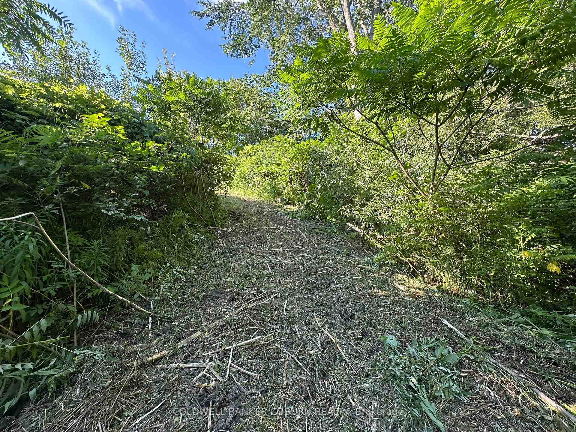 Photo 6 of 00 County Road 2, Edwardsburgh/Cardinal, Edwardsburgh/Cardinal Twp — HOMEH