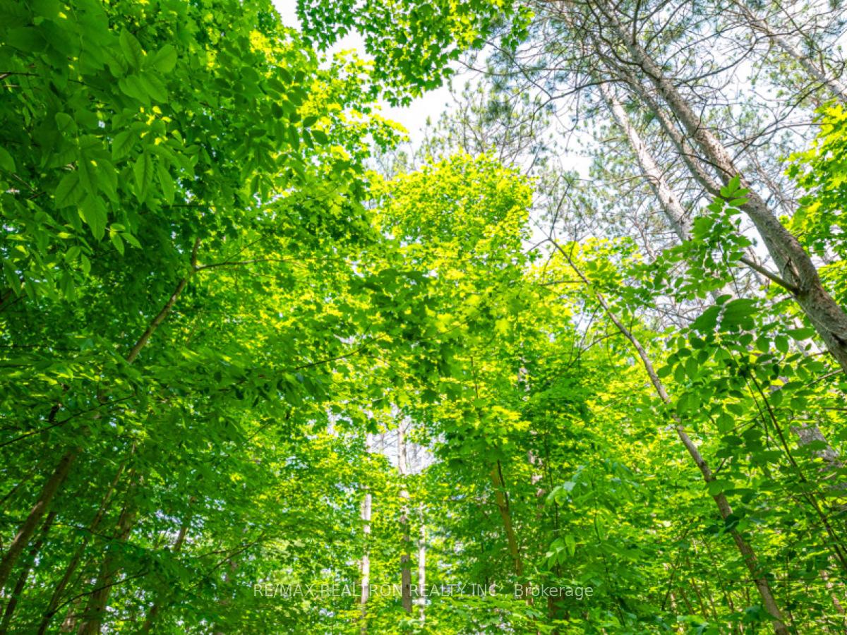 Photo 50 of Unit 101, 333 Sunseeker Avenue, Innisfil, Rural Innisfil — HOMEH
