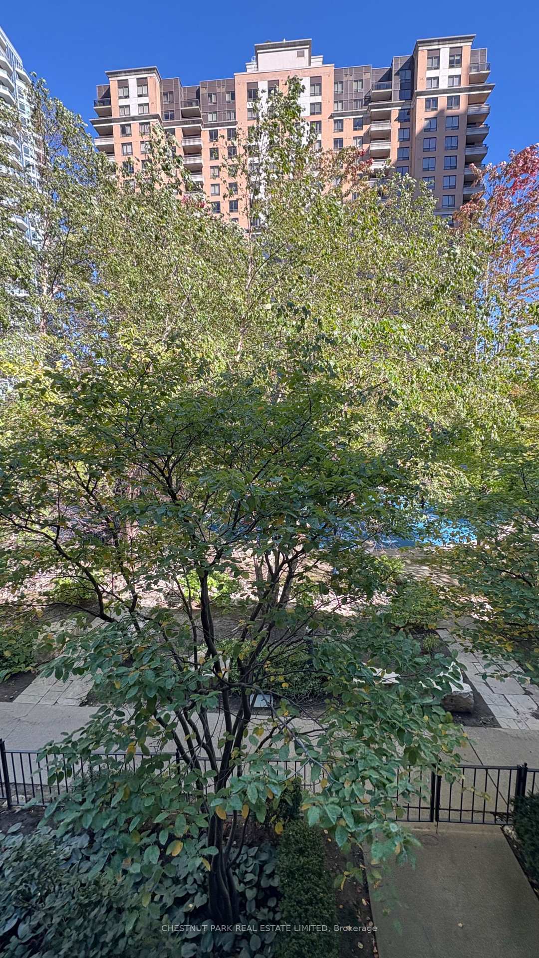 Photo 26 of Unit Th3, 500 Doris Avenue, North York, Willowdale East — HOMEH