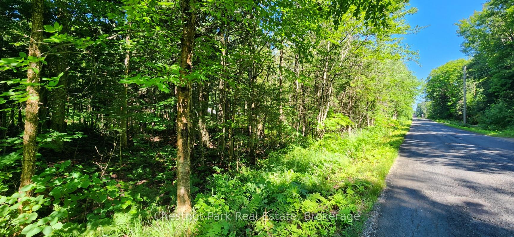 Photo 4 of Skyline Drive, Armour — HOMEH