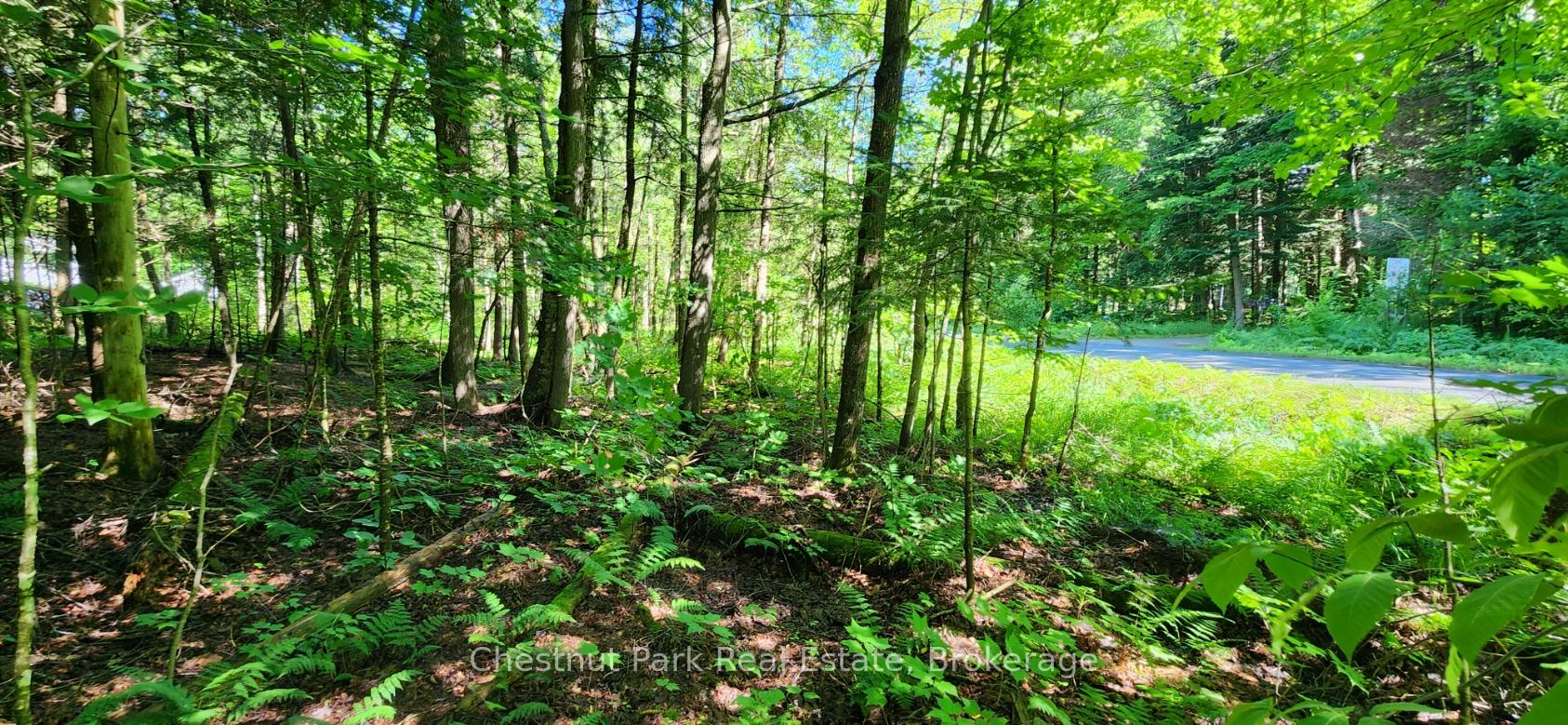 Photo 5 of Skyline Drive, Armour — HOMEH
