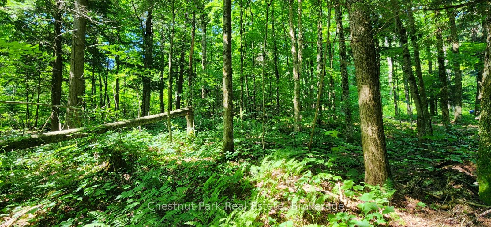 Photo 6 of Skyline Drive, Armour — HOMEH