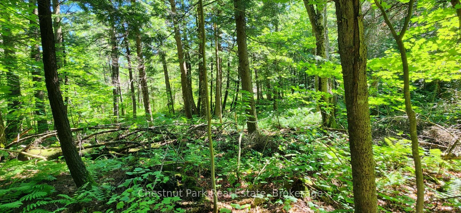 Photo 7 of Skyline Drive, Armour — HOMEH