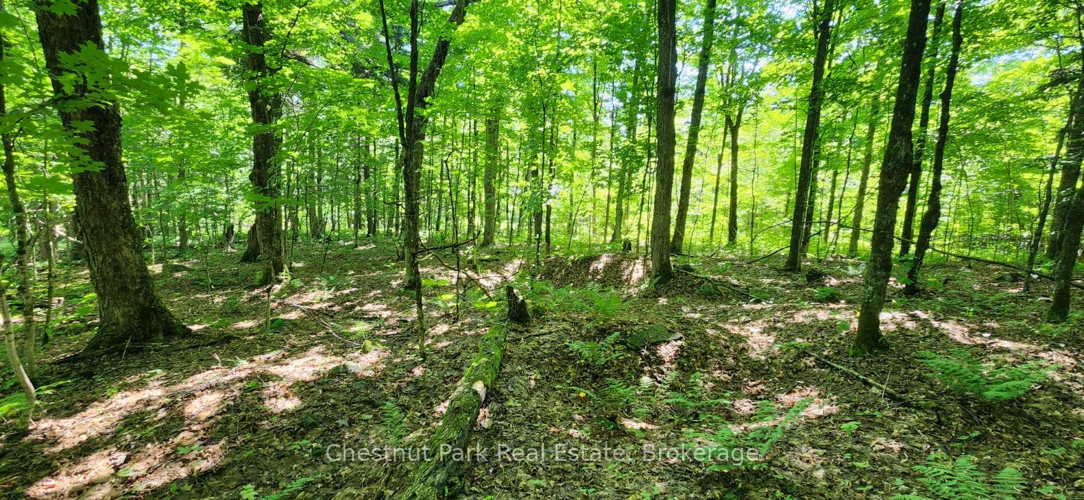 Photo 8 of Skyline Drive, Armour — HOMEH