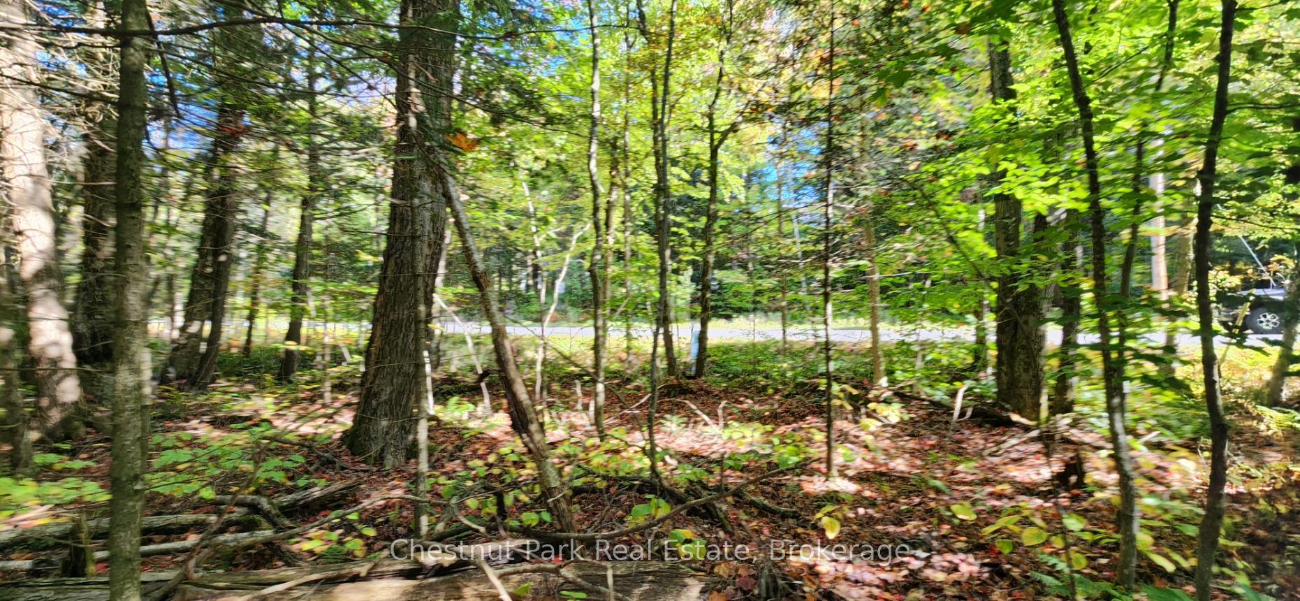 Photo 9 of Skyline Drive, Armour — HOMEH