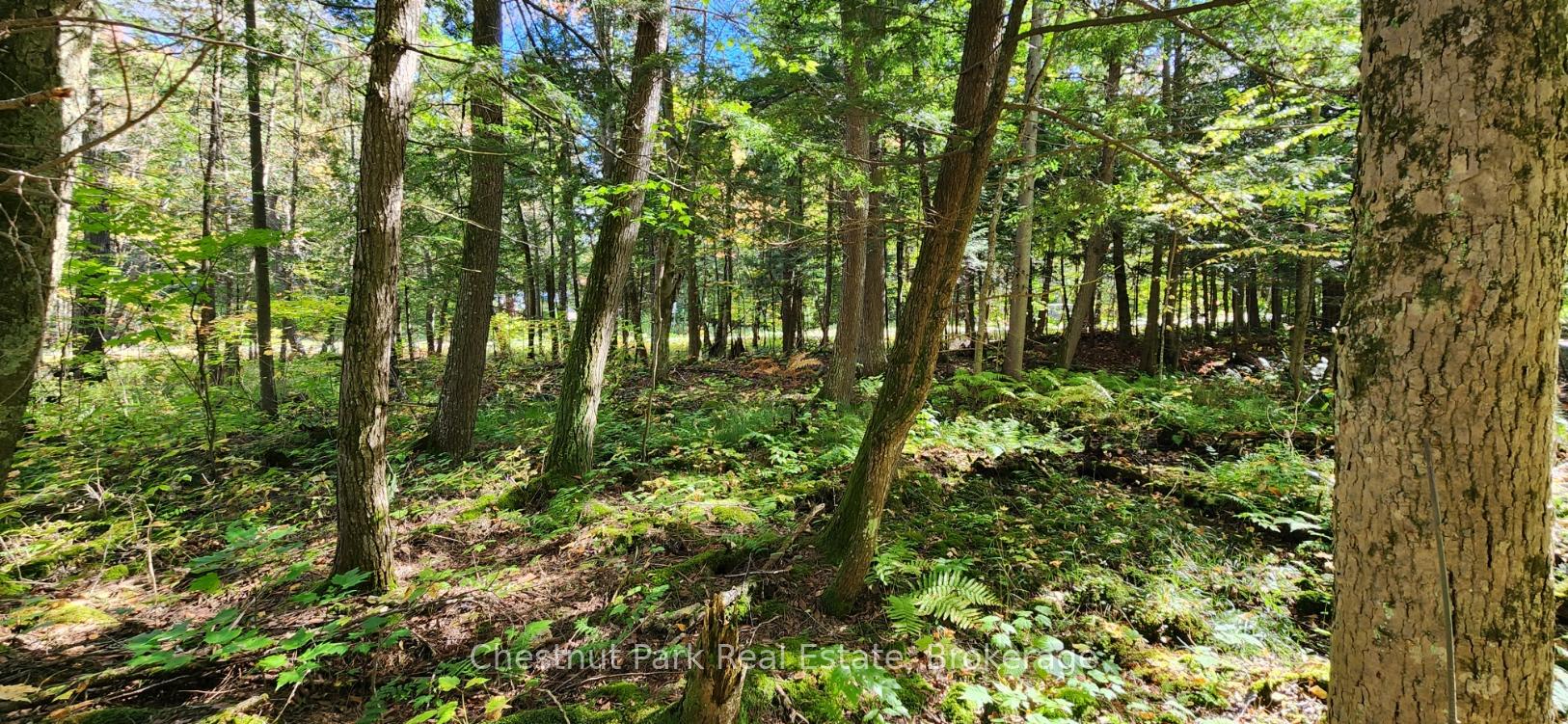 Photo 10 of Skyline Drive, Armour — HOMEH