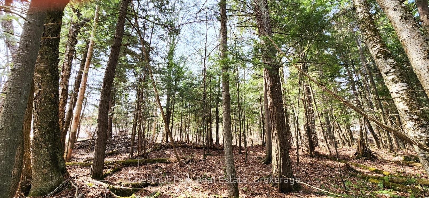 Photo 11 of Skyline Drive, Armour — HOMEH