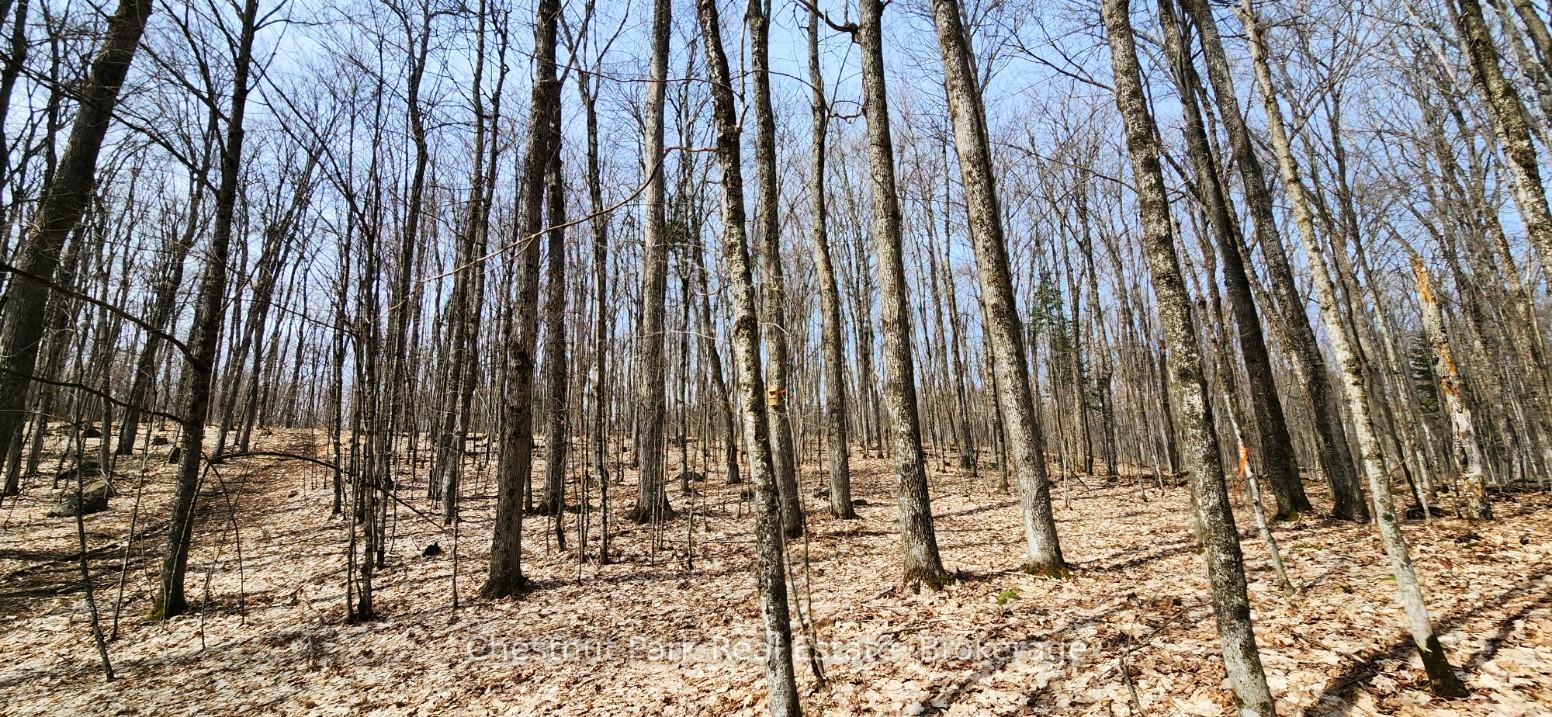 Photo 14 of Skyline Drive, Armour — HOMEH