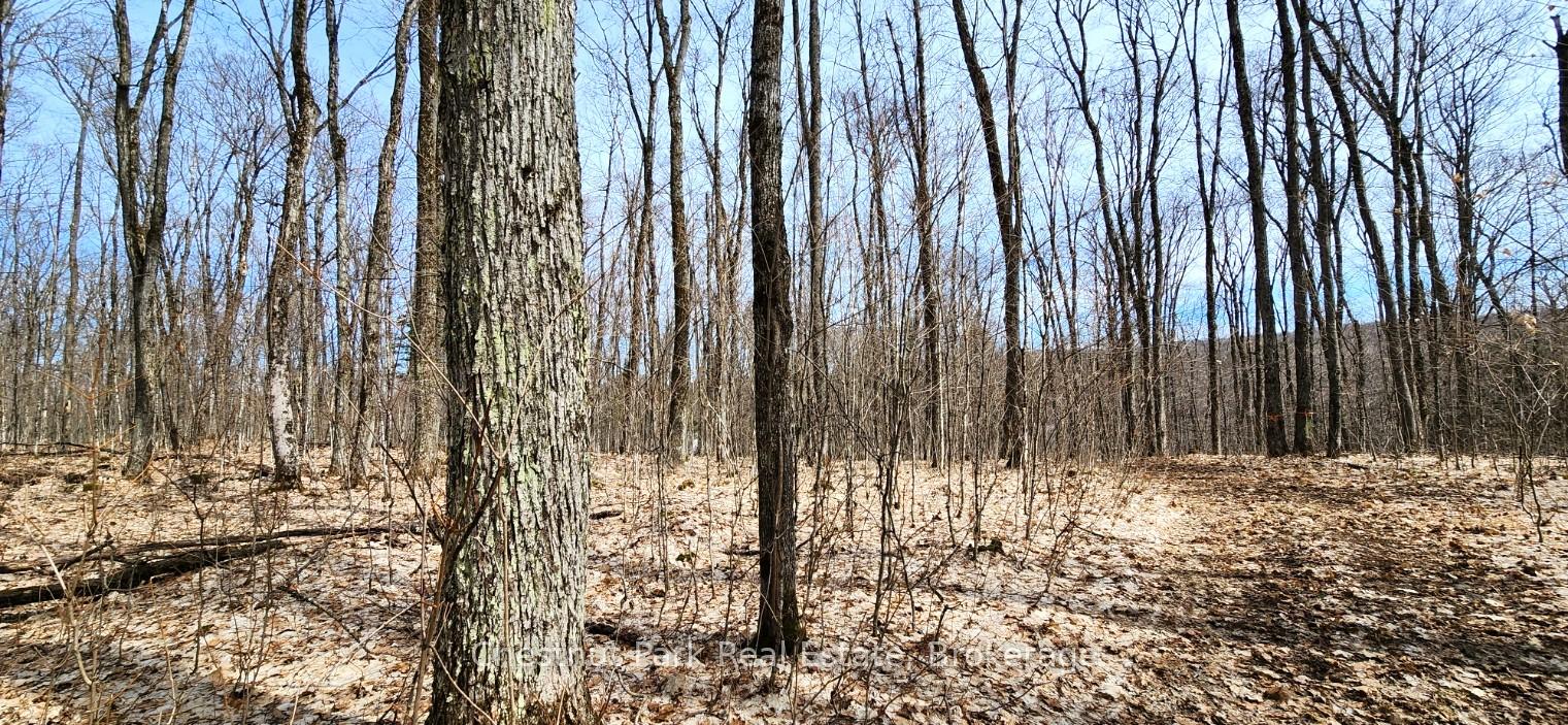 Photo 15 of Skyline Drive, Armour — HOMEH