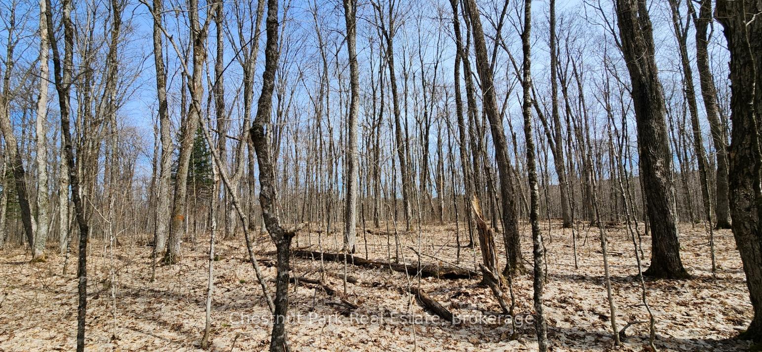 Photo 16 of Skyline Drive, Armour — HOMEH