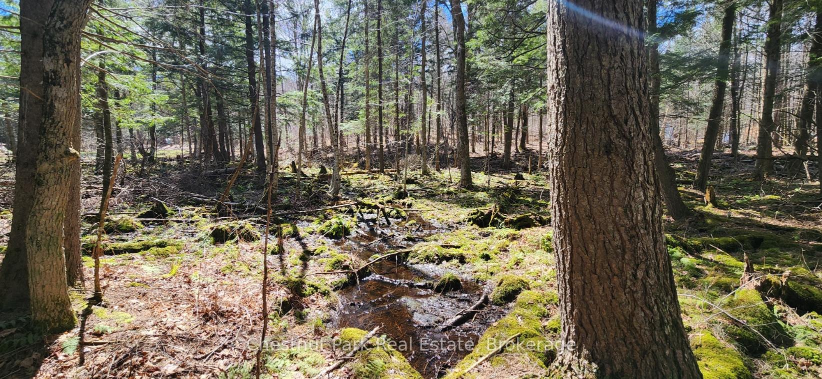 Photo 18 of Skyline Drive, Armour — HOMEH