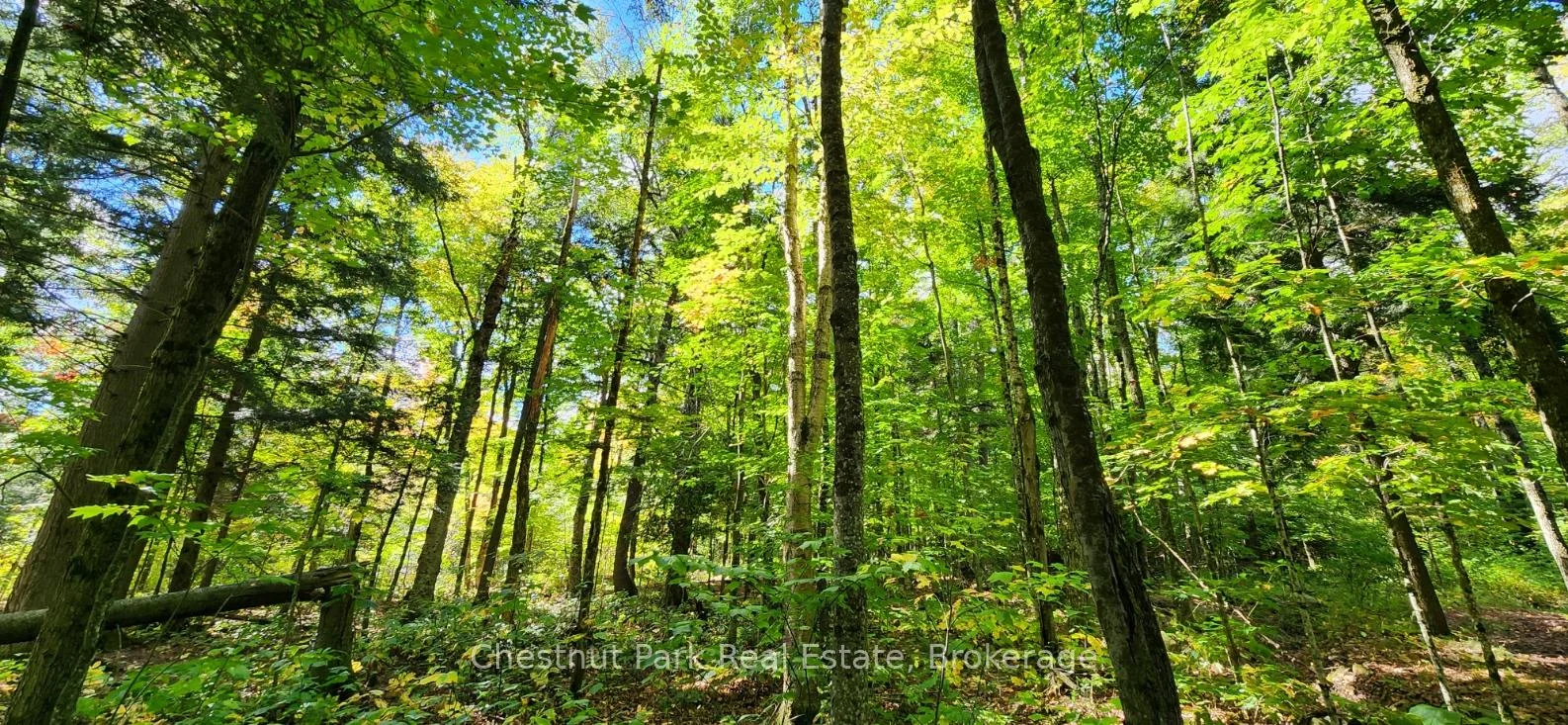 Photo 13 of Skyline Drive, Armour — HOMEH