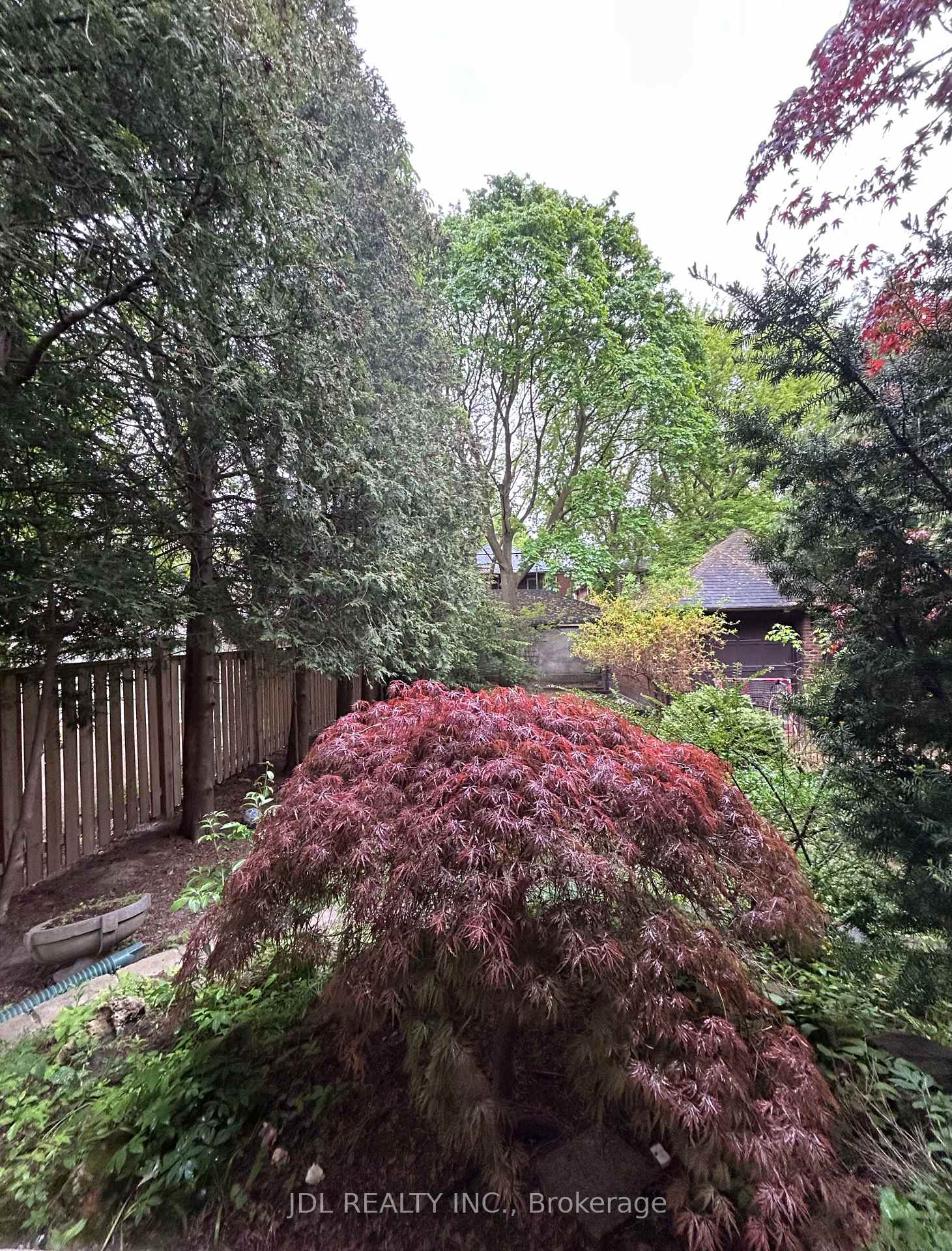 Photo 5 of Unit Bsmt, 19 Glengrove Ave, Toronto, Lawrence Park South — HOMEH
