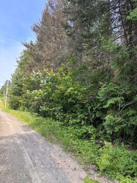 Photo of 1A   PT LT 12 CON 2 Boundary Road