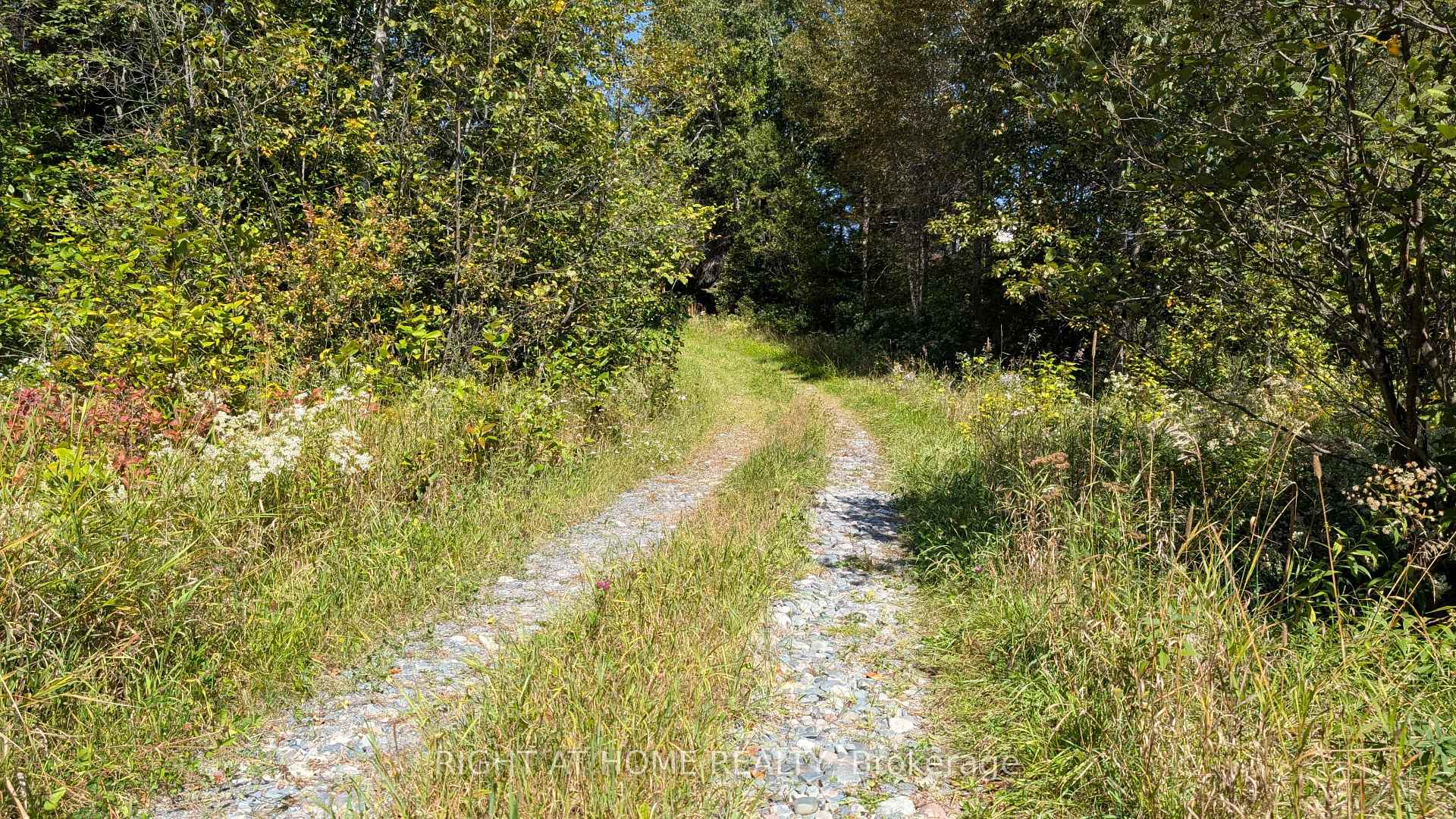Photo 6 of 58 Bellefeuille Road, West Nipissing, Field — HOMEH