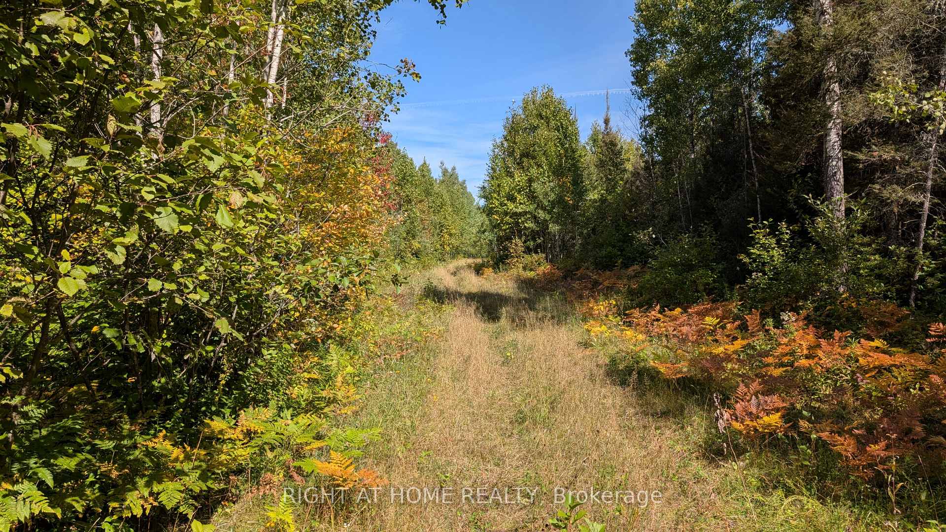 Photo 7 of 58 Bellefeuille Road, West Nipissing, Field — HOMEH