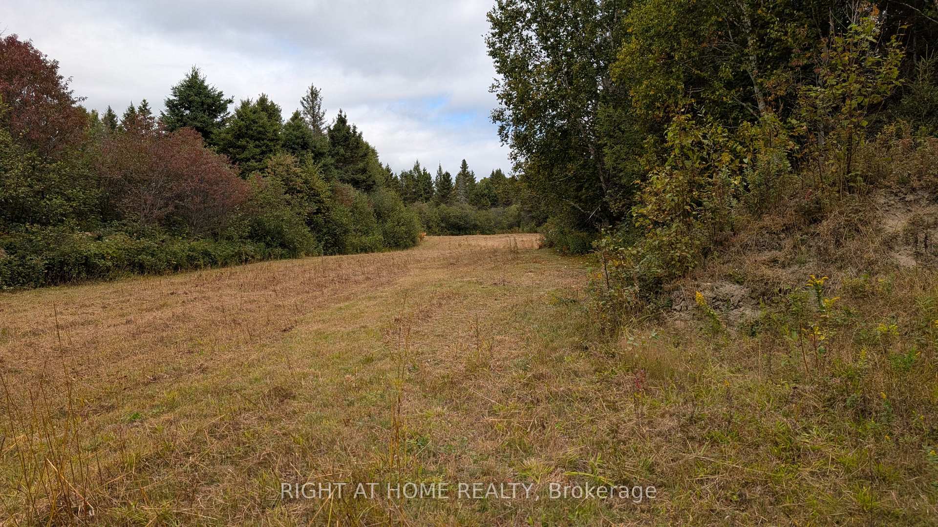 Photo 21 of 58 Bellefeuille Road, West Nipissing, Field — HOMEH