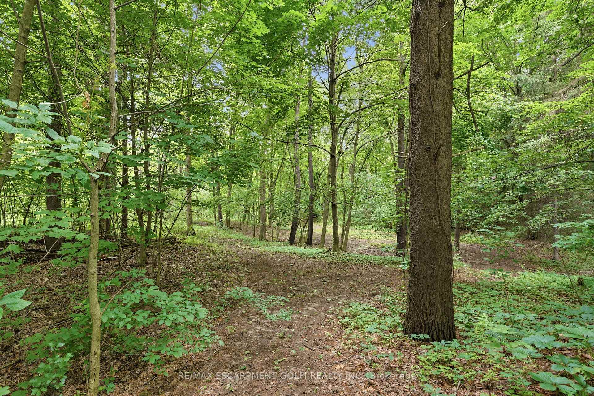 Photo 46 of 461 Tice Road, Pelham, North Pelham — HOMEH