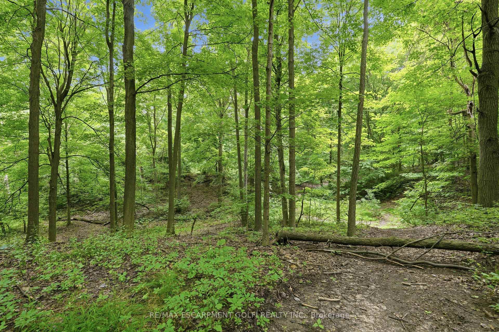 Photo 47 of 461 Tice Road, Pelham, North Pelham — HOMEH
