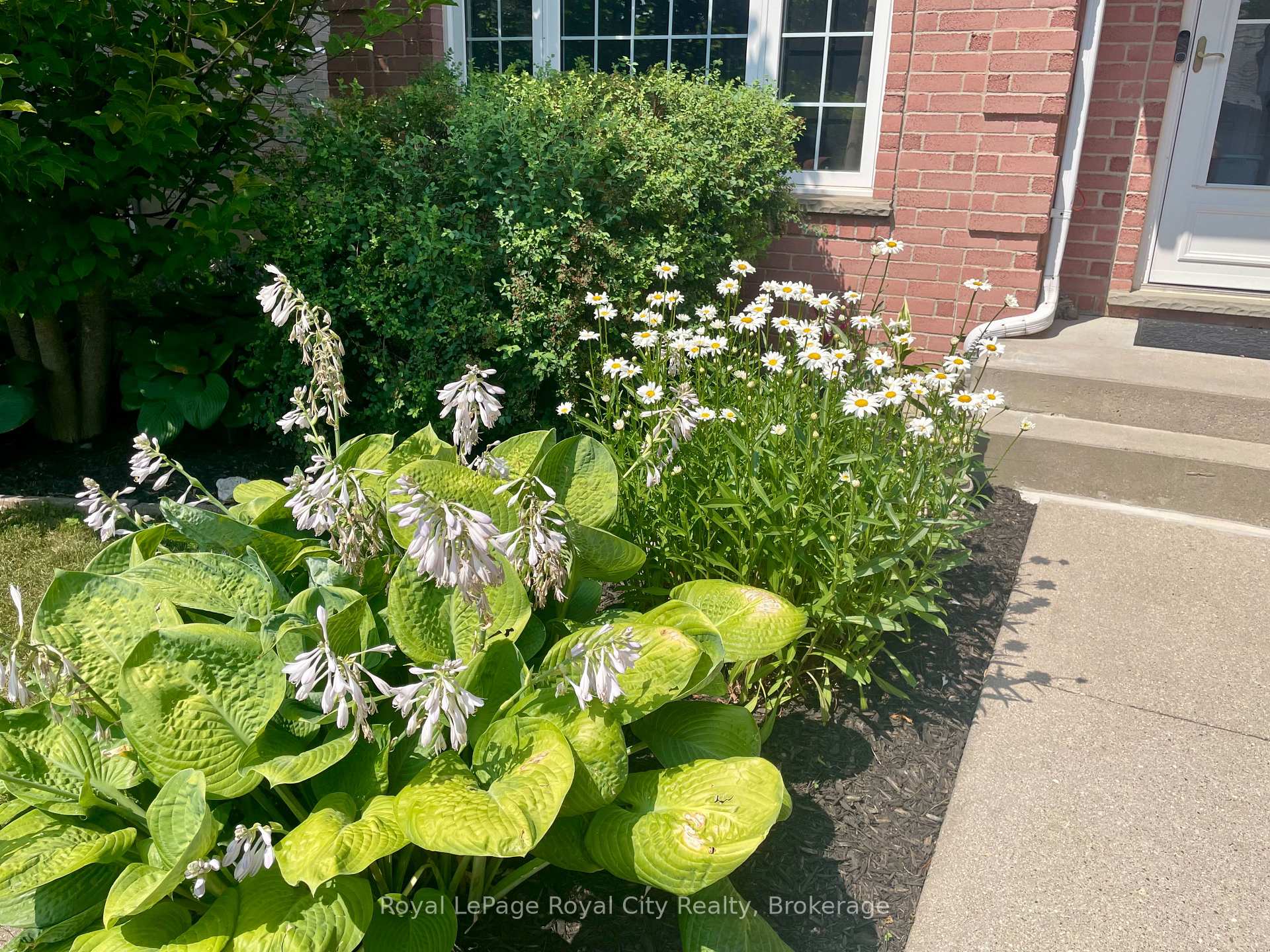 Photo 34 of 119 Meadowridge Drive, St. Marys — HOMEH