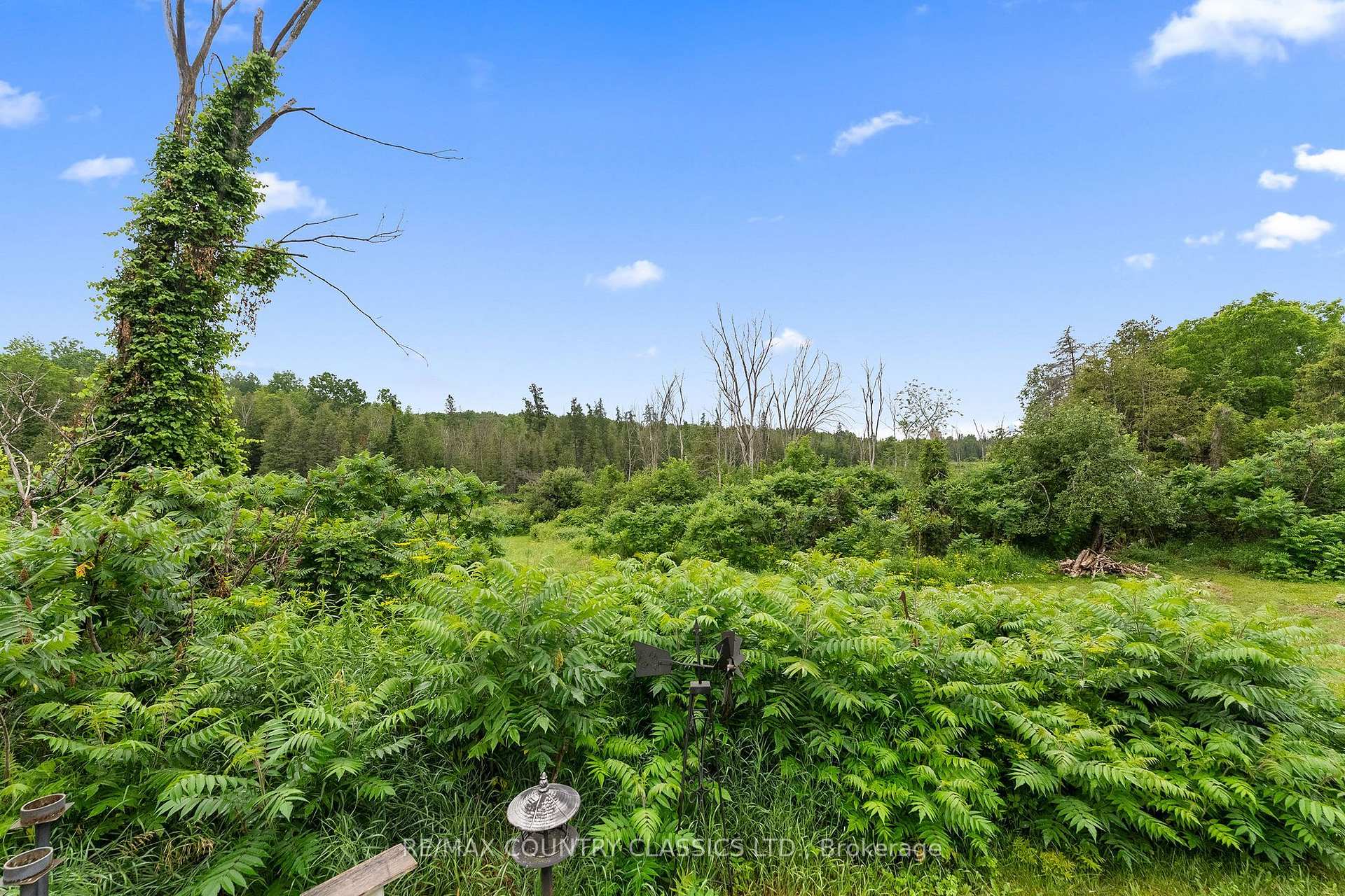 Photo 28 of 858 St Ola Road, Limerick — HOMEH