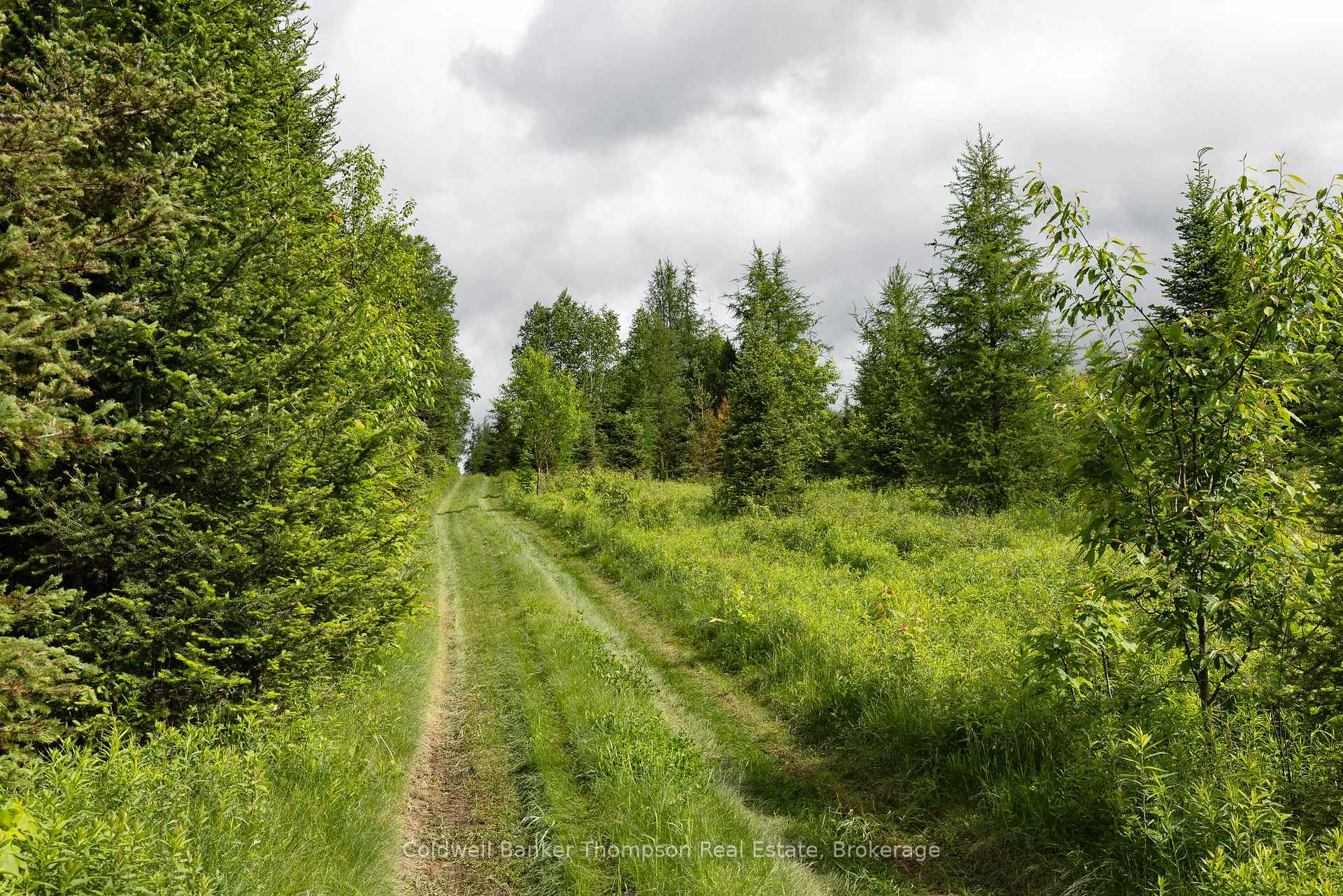 Photo 19 of 1741 & 1793 Pevensey Road E, Armour — HOMEH