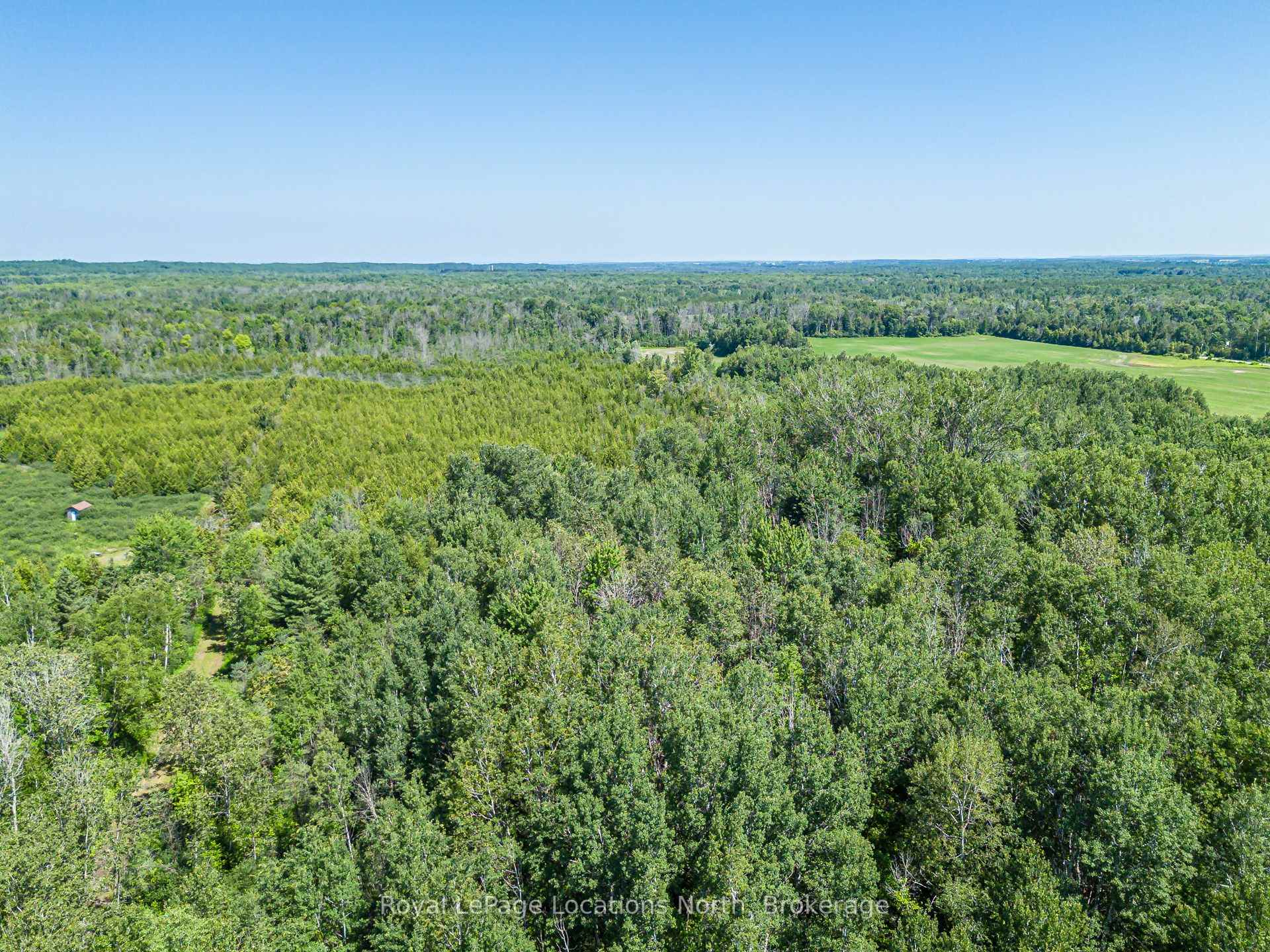Photo 5 of 4080 12 Concession, Clearview, Rural Clearview — HOMEH