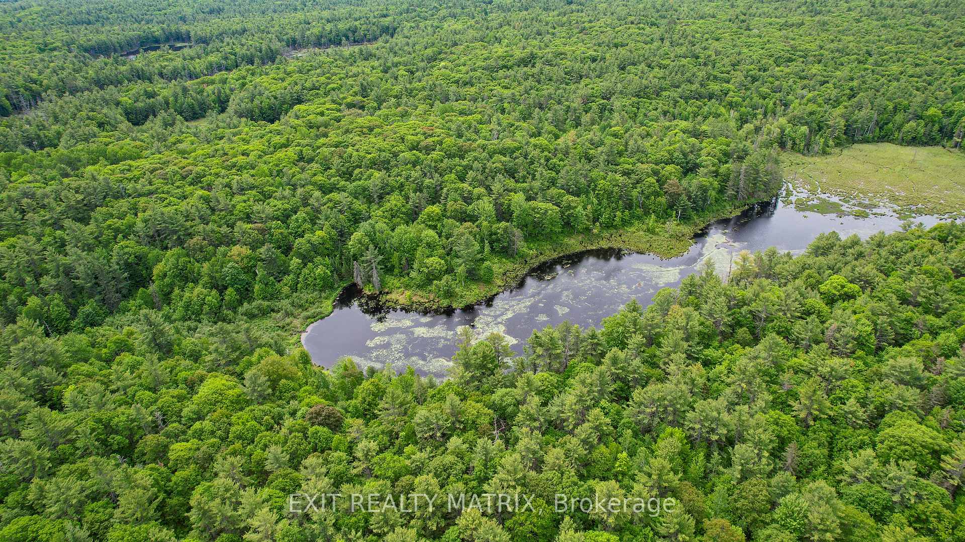 Photo 6 of PT LT 9 Concession 1, McNab/Braeside, Mcnab/Braeside Twps — HOMEH