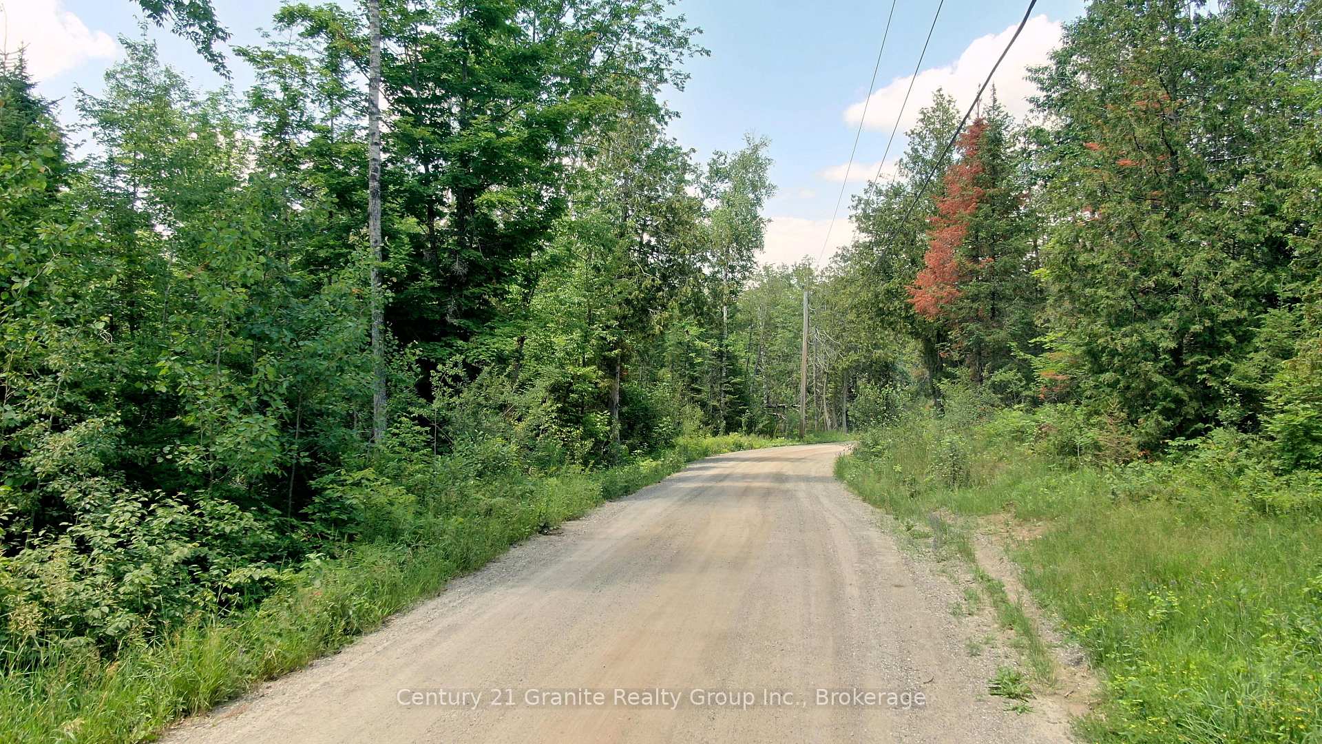 Photo of 0 Old Hastings Road