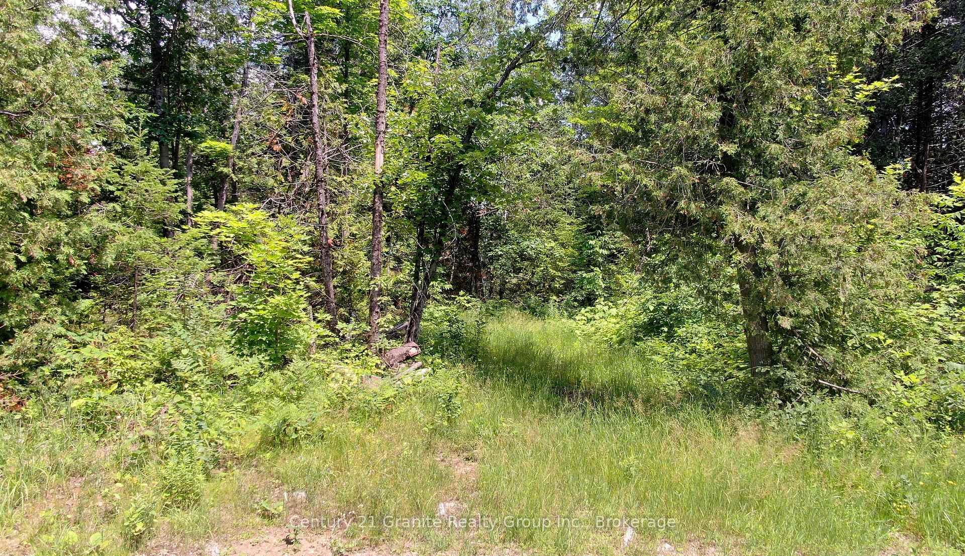 Photo 2 of Old Hastings Road, Wollaston — HOMEH