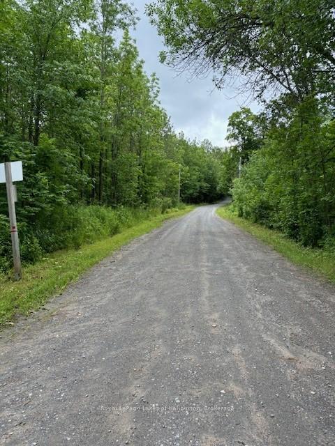 Photo 2 of Lot 70 25th Line, Algonquin Highlands, Stanhope — HOMEH